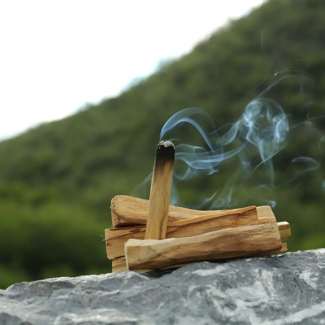 ¿Cómo quemar palo santo?