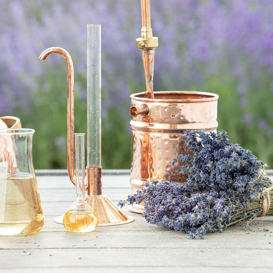 Aceite de Lavanda, sus usos y beneficios