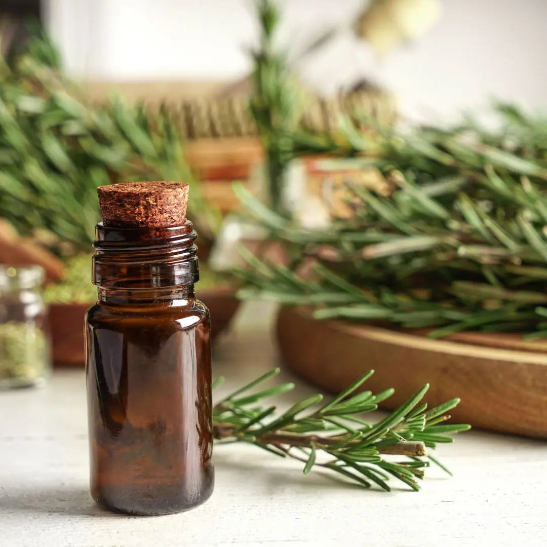 ¿Cómo hacer aceite de romero para el cabello?