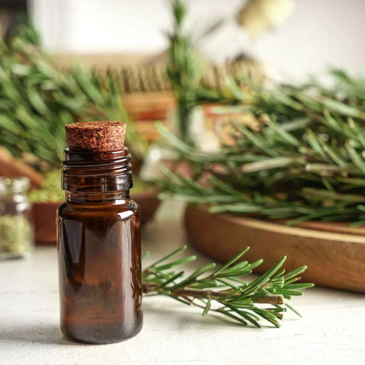 ¿Cómo hacer aceite de romero para el cabello?