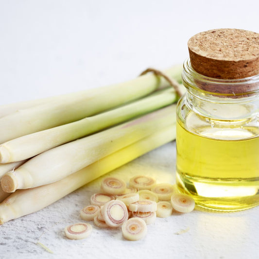Limoncillo: beneficios, usos y el poder de su aceite esencial
