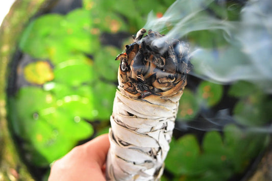 ¿Cómo quemar salvia blanca?