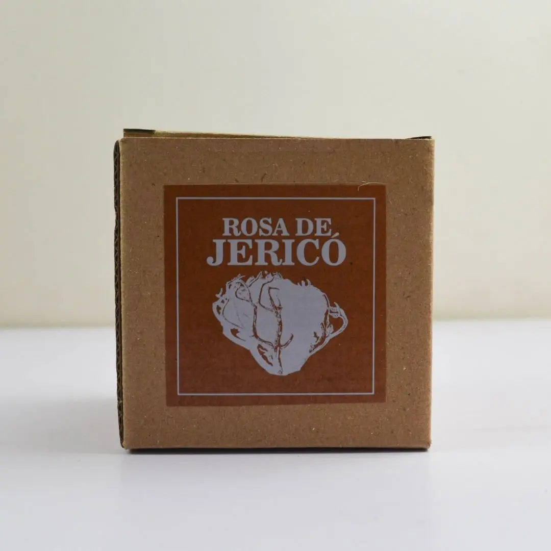 Rosa de Jerico - Teraviva