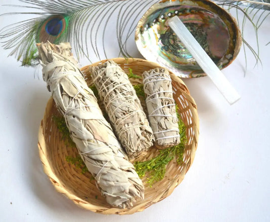 Salvia Blanca Californiana - Teraviva