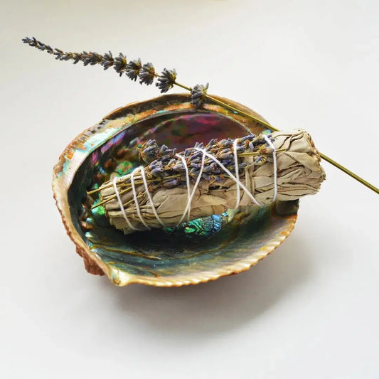 Salvia blanca con Lavanda francesa - Teraviva