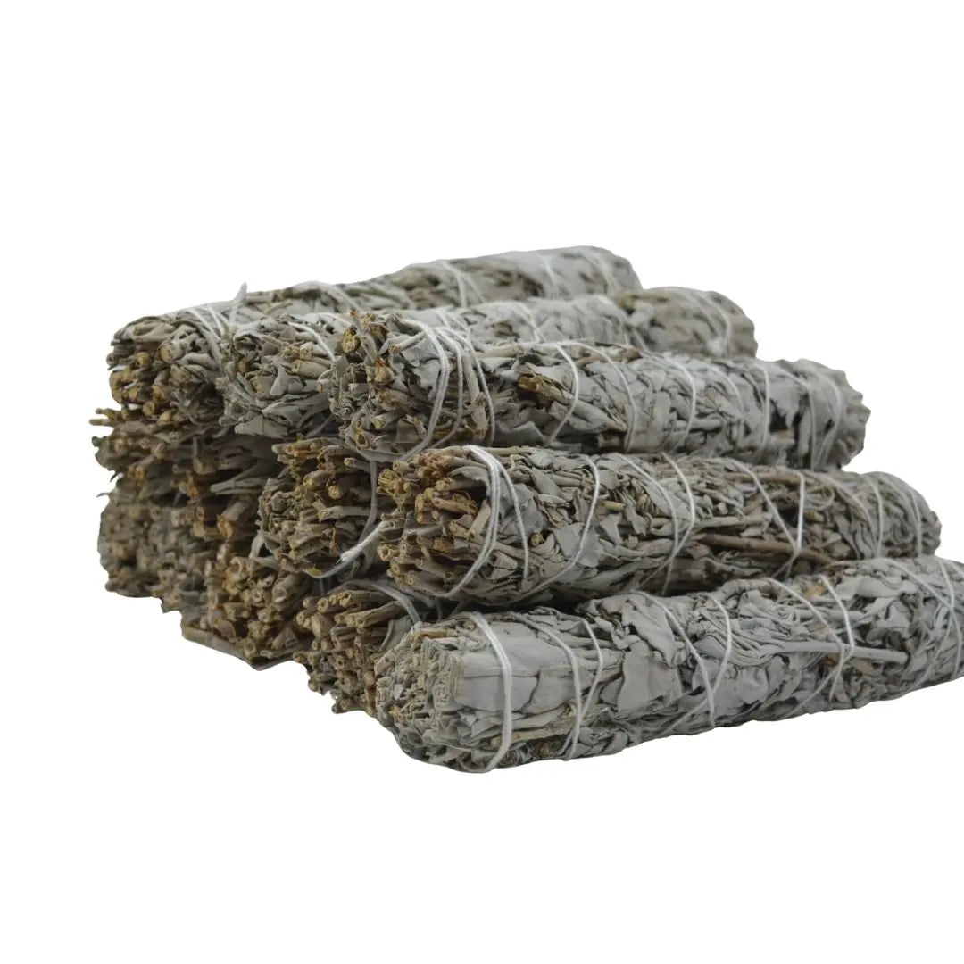 Salvia blanca grande por mayor - Teraviva