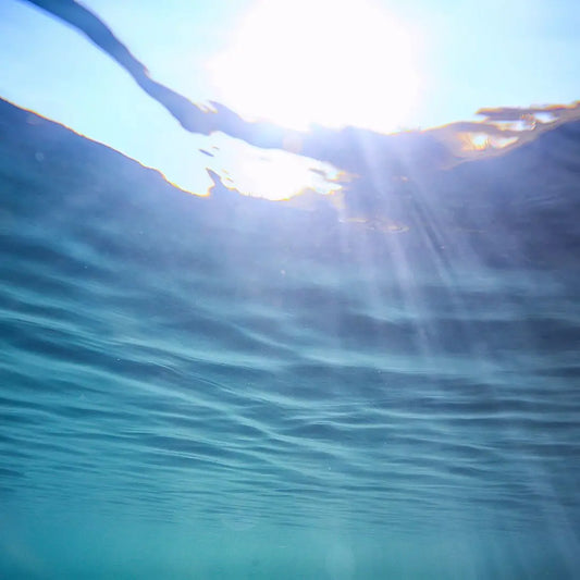 ¿Qué es el agua solarizada y por qué debería prepararla?