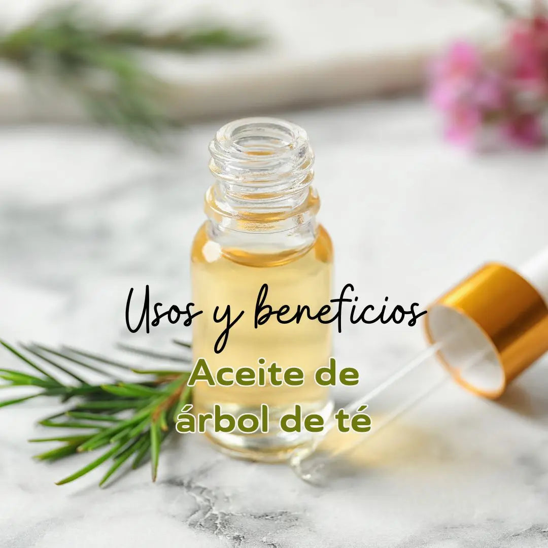 Aceite de árbol de té o tea tree usos y beneficios