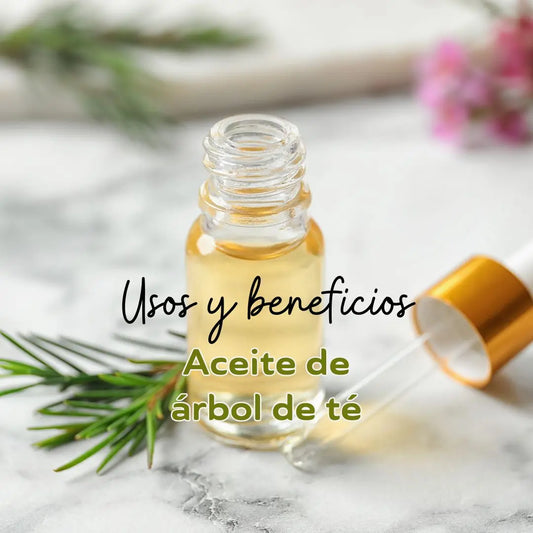 Aceite de árbol de té o tea tree usos y beneficios