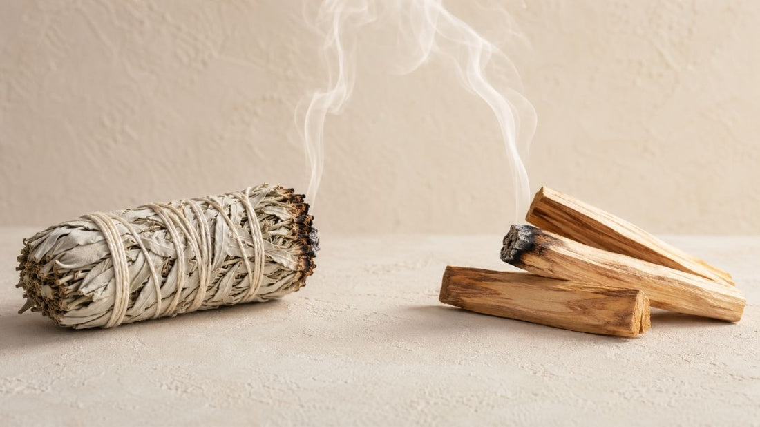 Atado de salvia blanca y varita de palo santo lado a lado para comparar