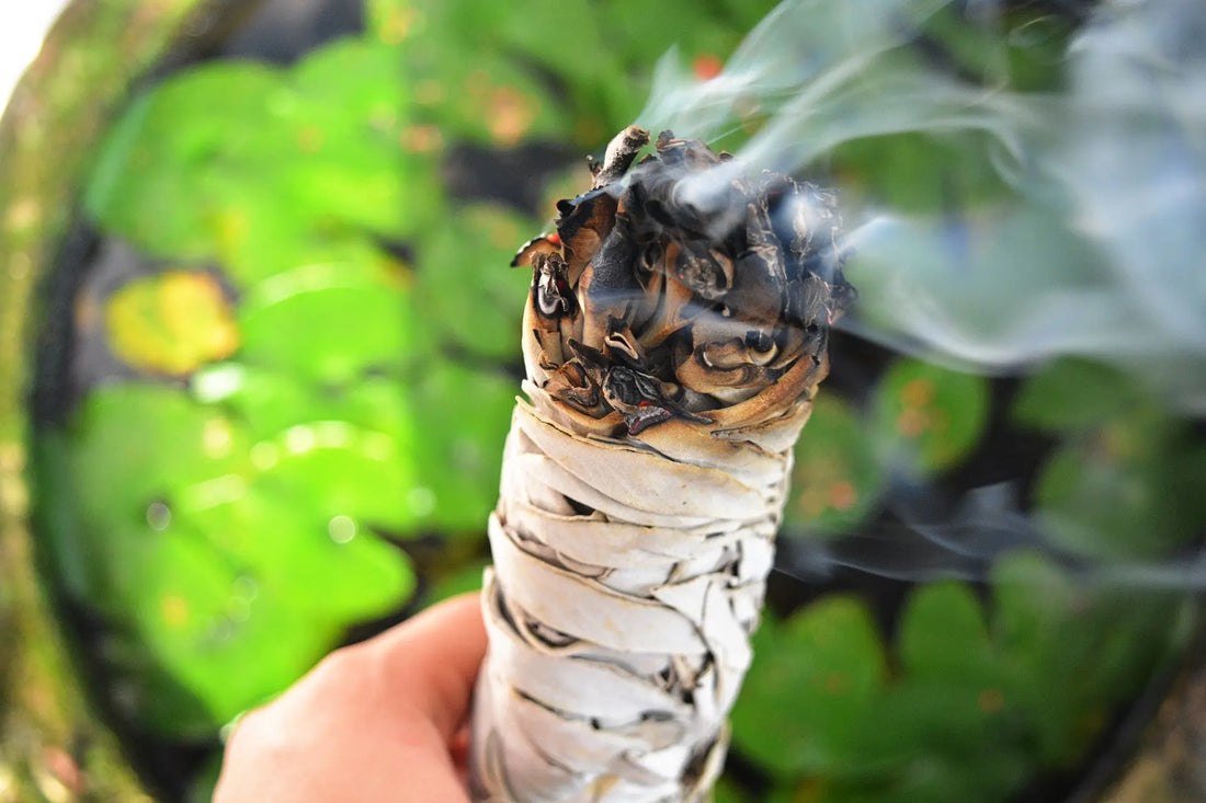 ¿Cómo quemar salvia blanca? 