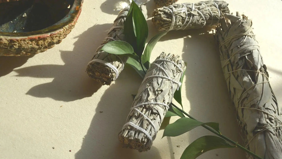 Salvia Blanca: usos, beneficios y propiedades espirituales y medicinales