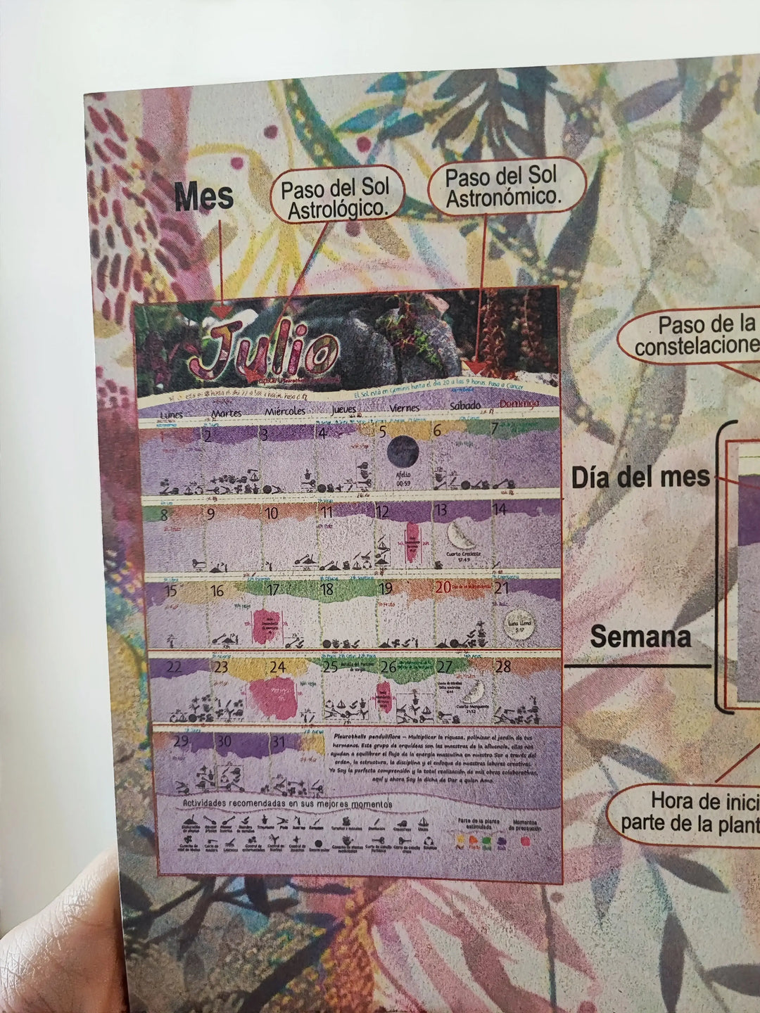 Calendario Lunar Caminando con la Luna