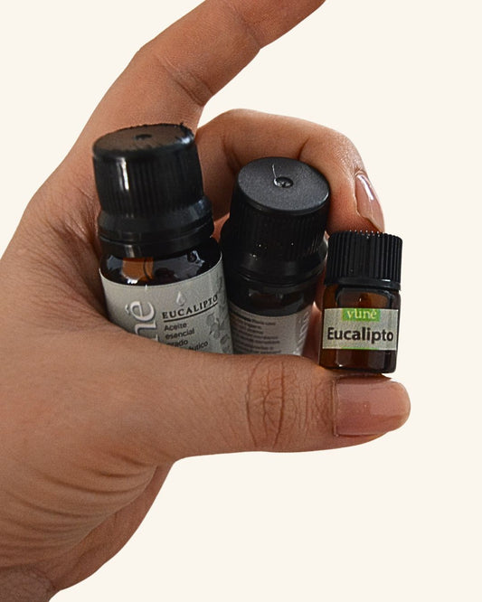 Mano sosteniendo aceite de eucalipto mini, 5 ml y 10 ml