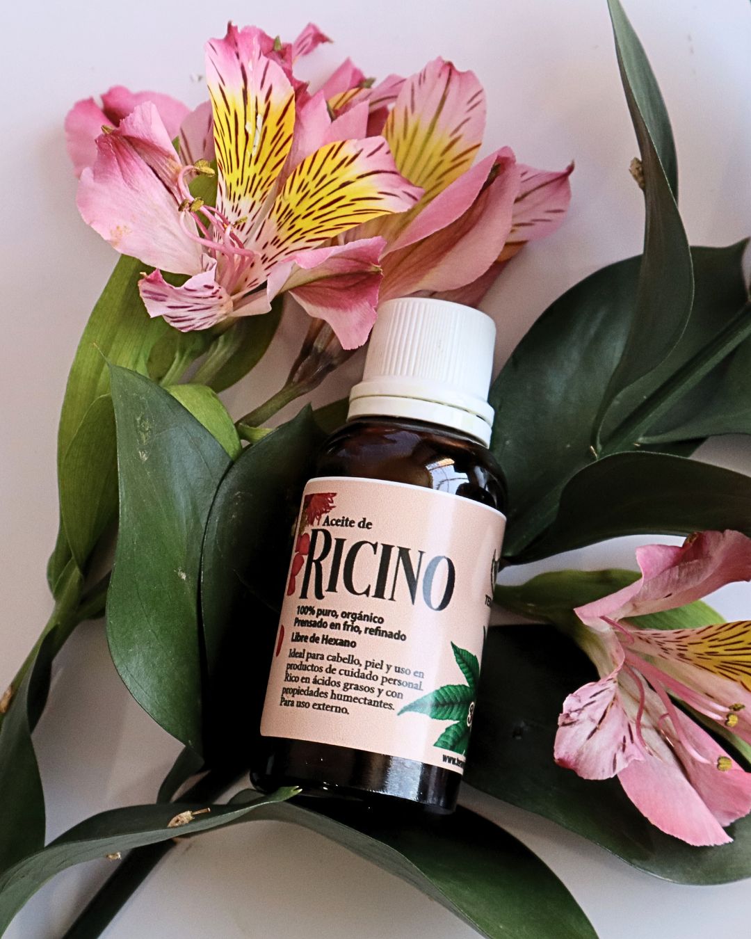 aceite de ricino organico colombia
