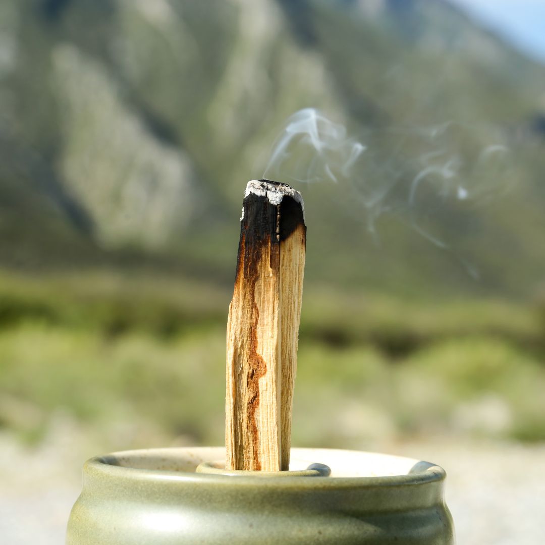 comprar palo santo