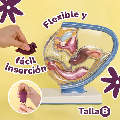 Cómo insertar la copa menstrual talla uva, guía flexible