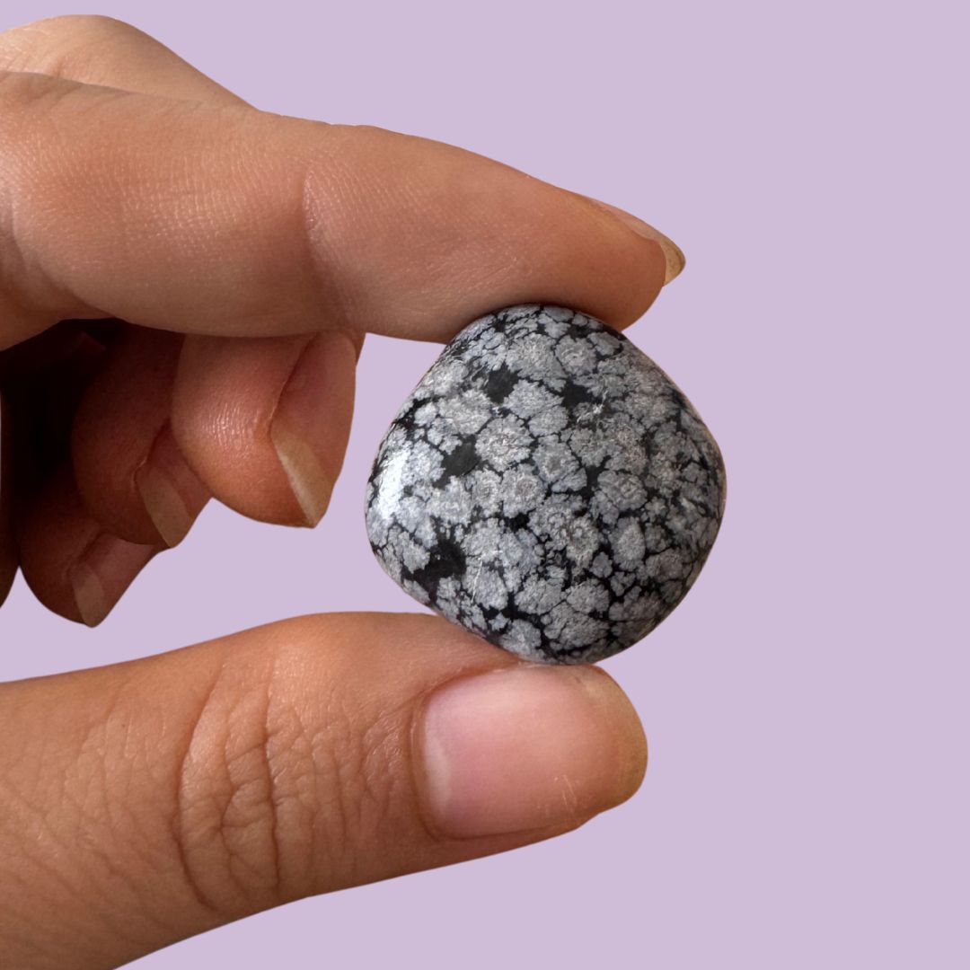 Obsidiana pulida copo de nieve