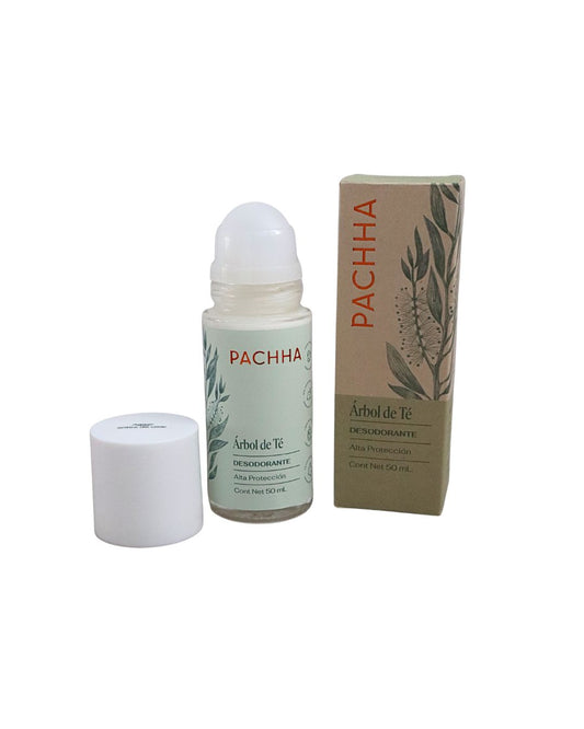 Desodorante árbol de té Pachha con caja y presentación roll on