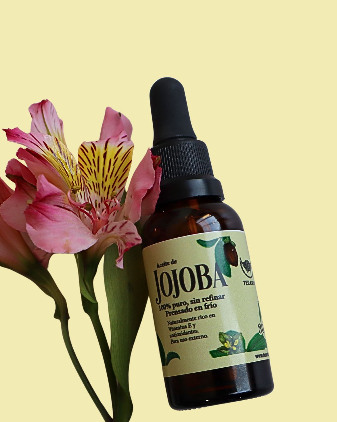 Aceite de jojoba Simmondsia chinensis puro, disponible en Colombia