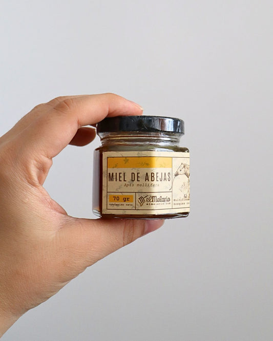 Frasco de miel de abejas pura El Melario 70 gramos