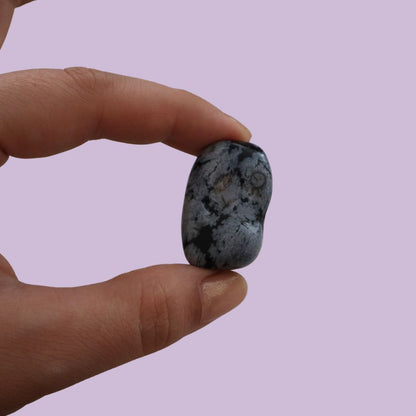 Obsidiana pulida copo de nieve