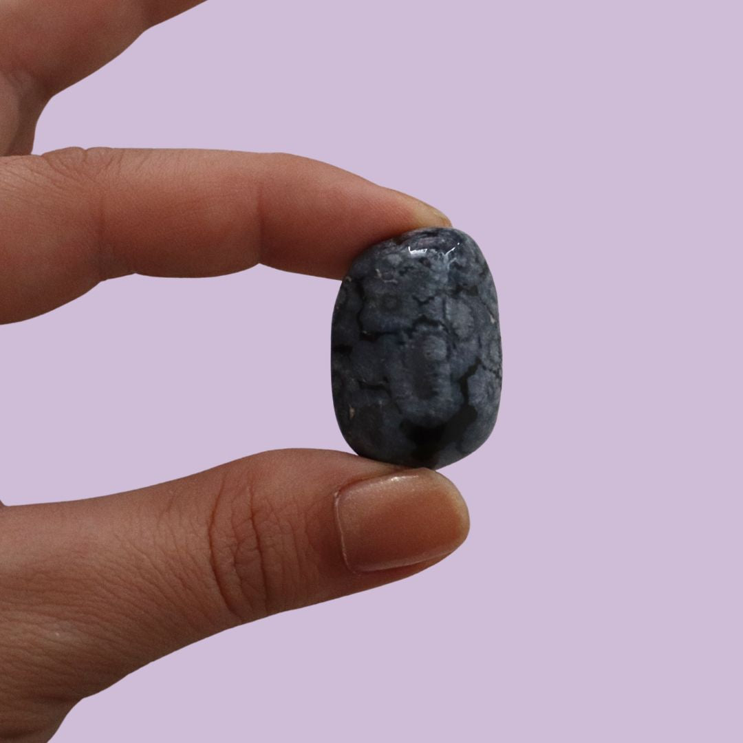 Obsidiana pulida copo de nieve