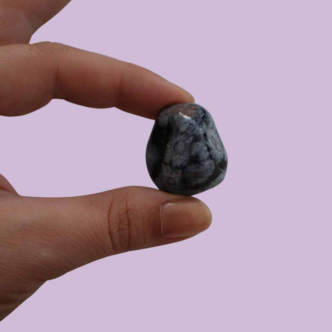 Obsidiana pulida copo de nieve