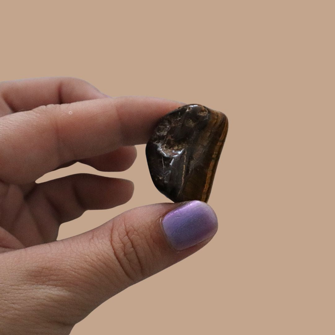 Piedra Ojo de tigre pulida, pieza única número 13 - Teraviva