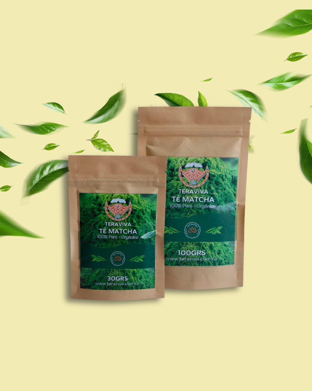 Té matcha orgánico para comprar en Colombia - Teraviva
