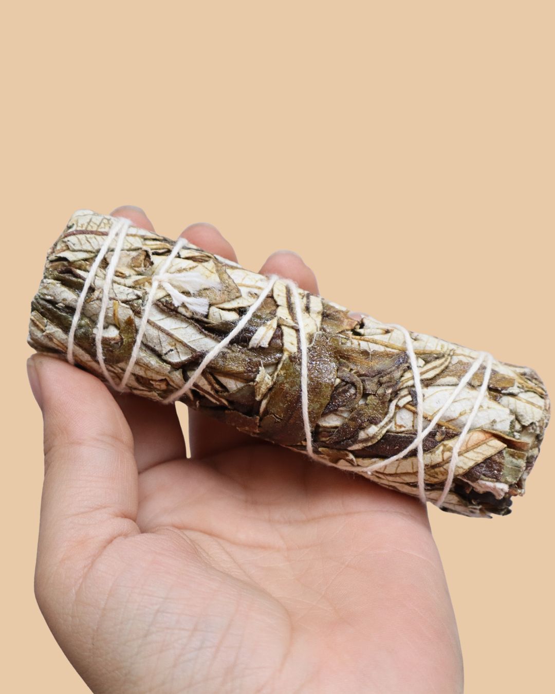 Atado de yerba santa natural sostenido en la mano