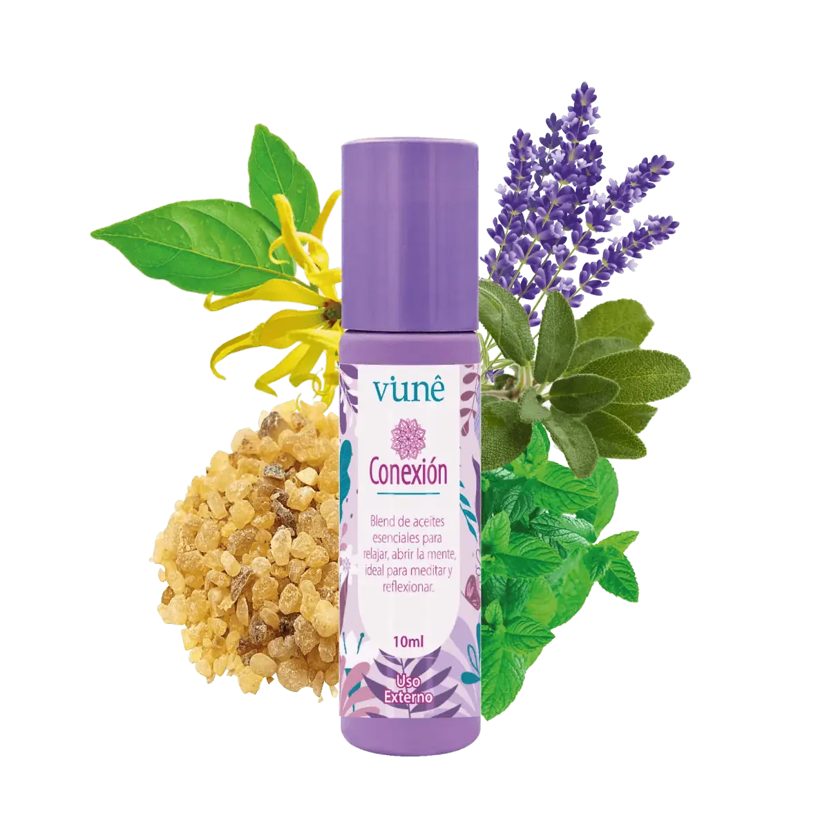Blend Conexion Aromaterapia - Teraviva