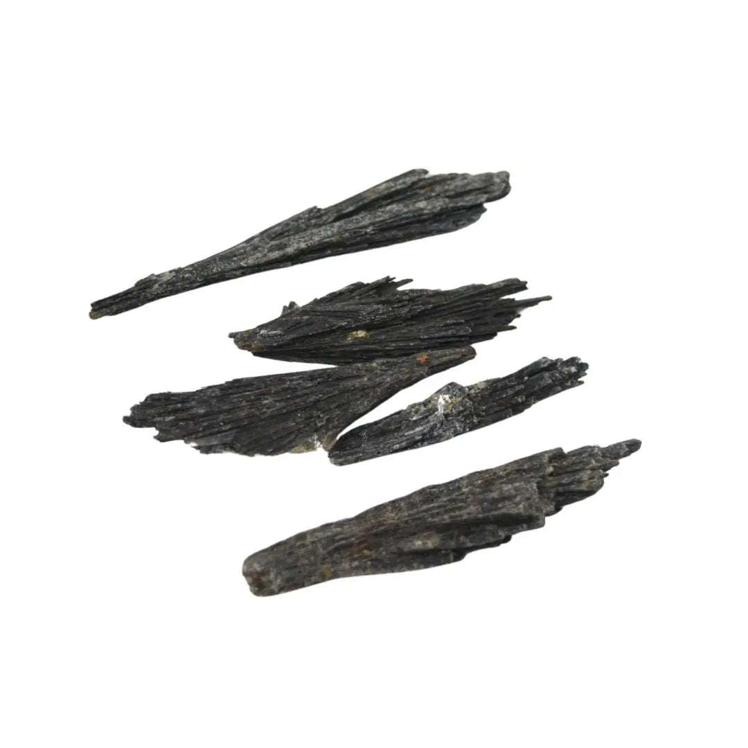 Cianita negra escoba de bruja - Teraviva