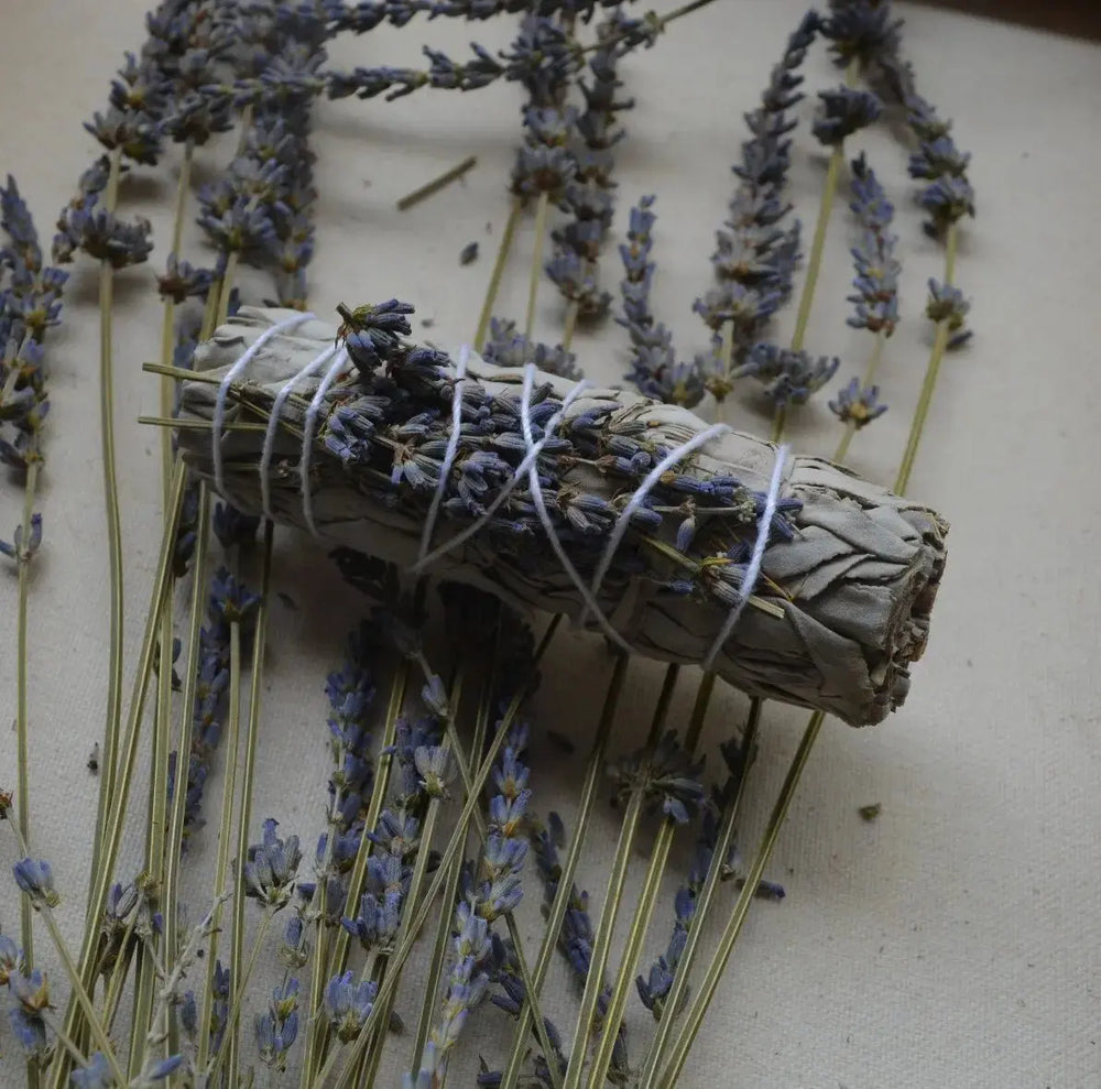 Salvia blanca con Lavanda francesa - Teraviva