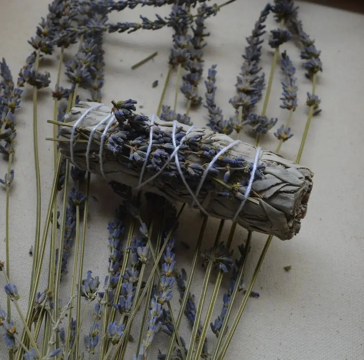 Salvia blanca con Lavanda francesa - Teraviva